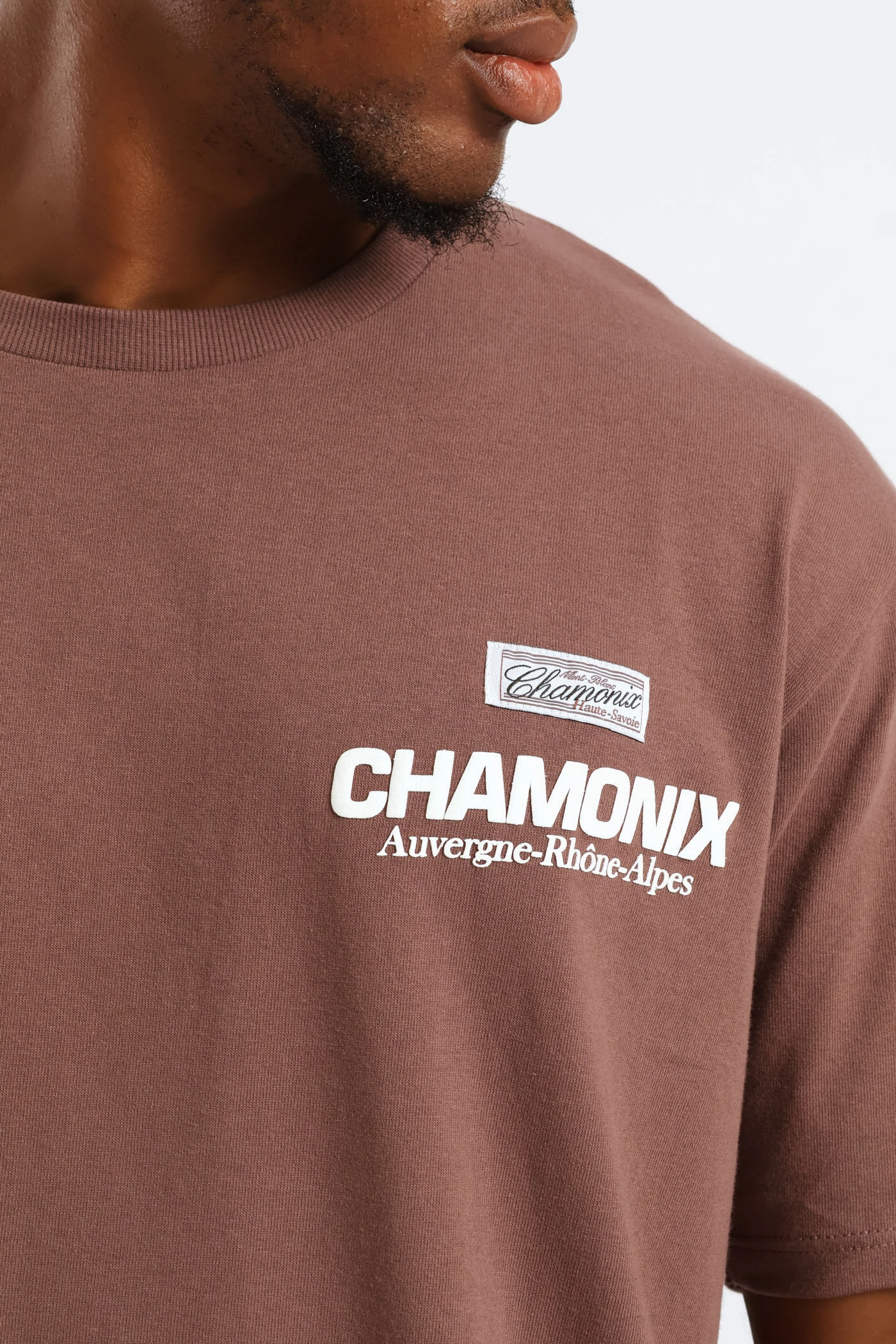 Tear Resistant Knit Pepper Corn Chamonix Puff Print Oversized Tee - Brown