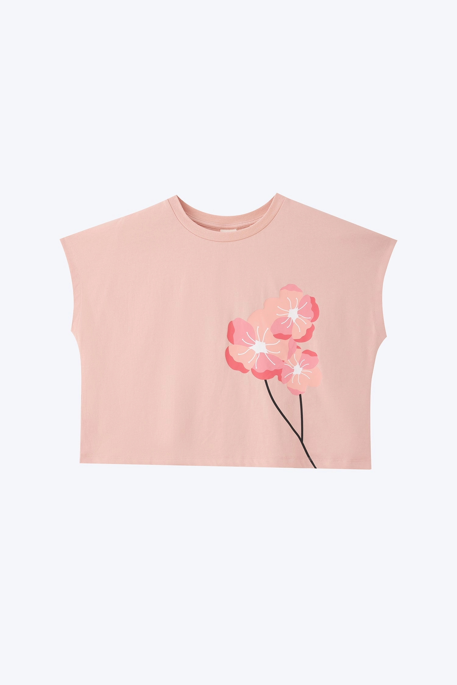 Blossom Cap Sleeve Tee - Blush [AT] Soft and Light Trendy Casual Wear