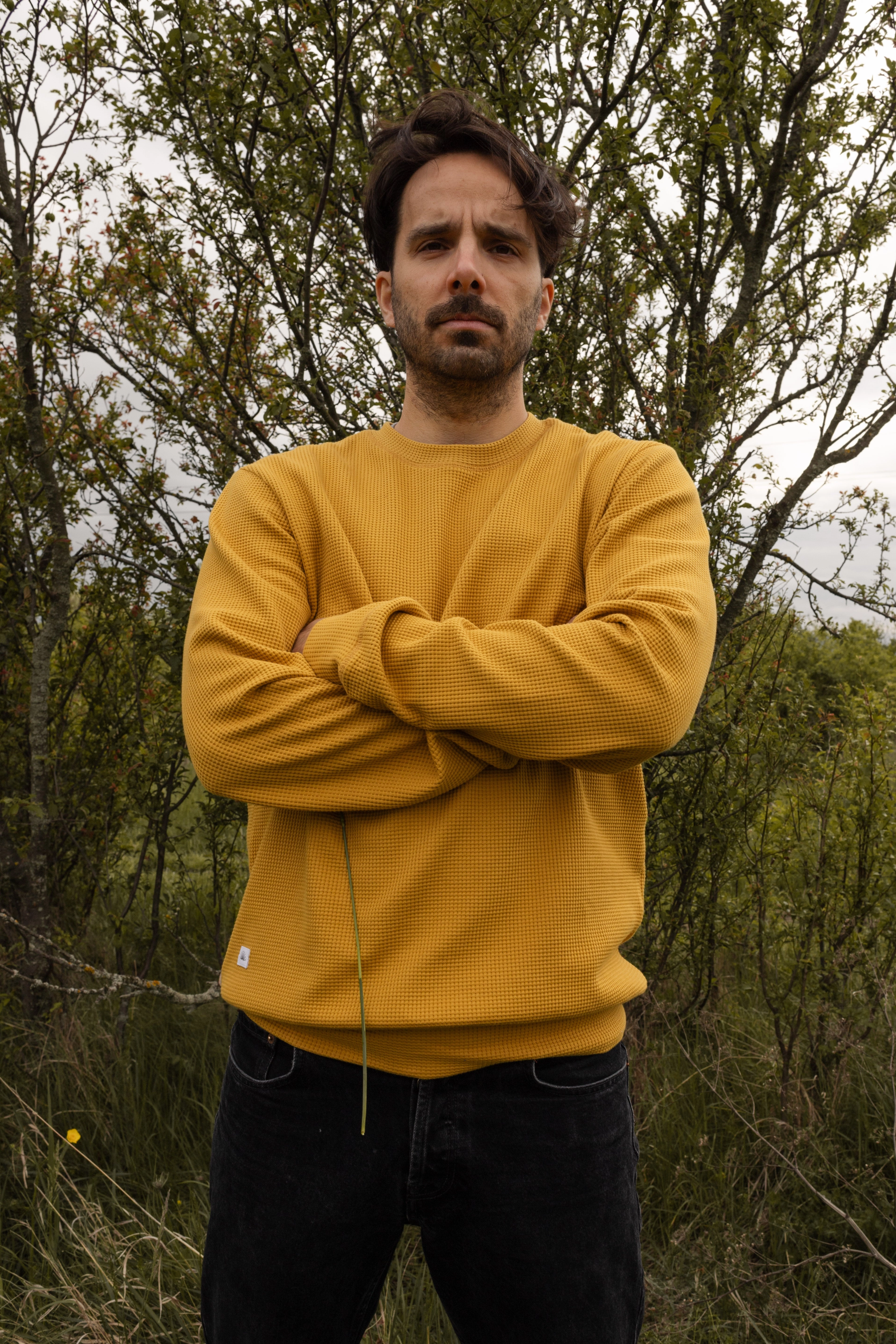 HIVE CREWNECK / MUSTARD product loop stability