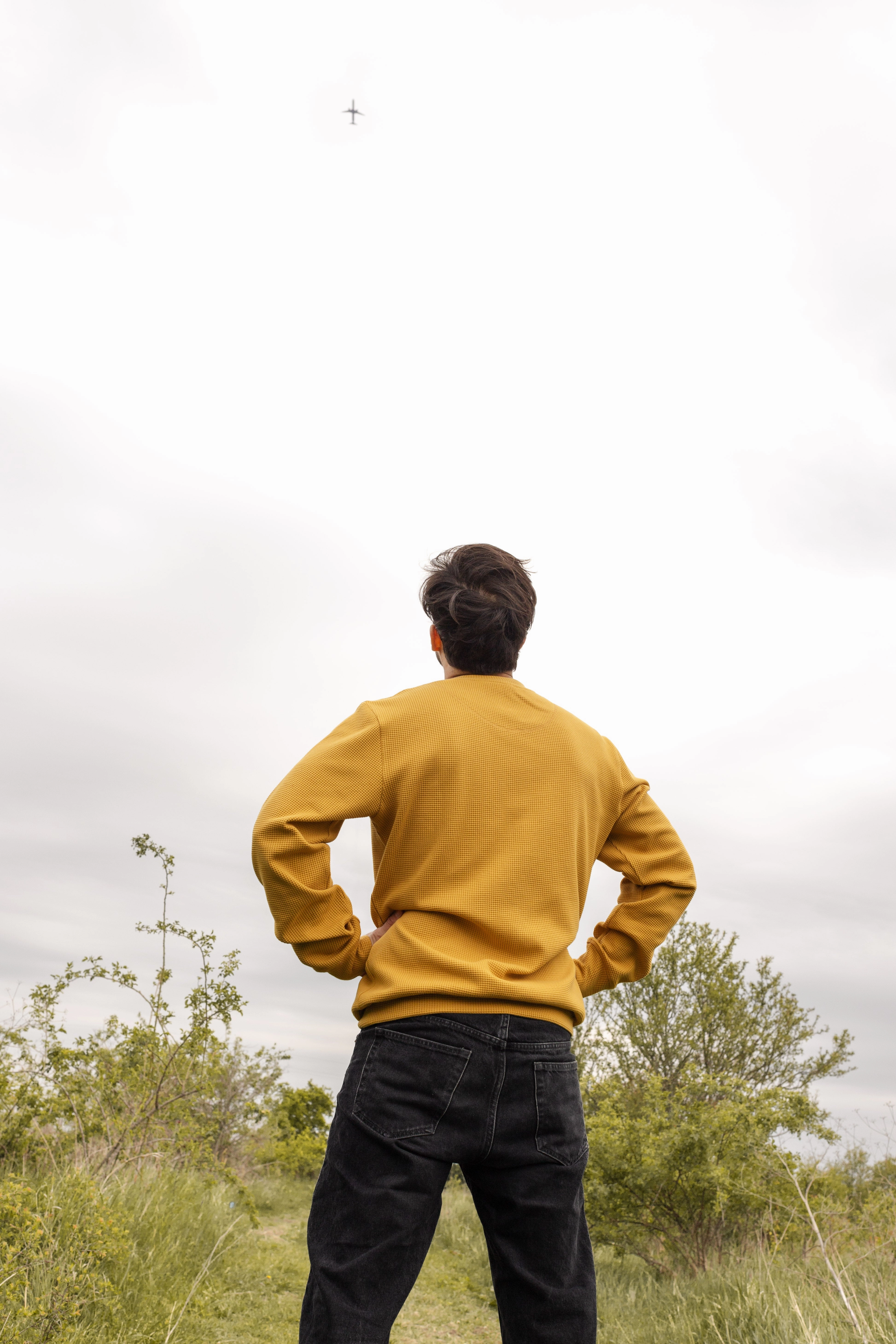 product nautical charm HIVE CREWNECK / MUSTARD