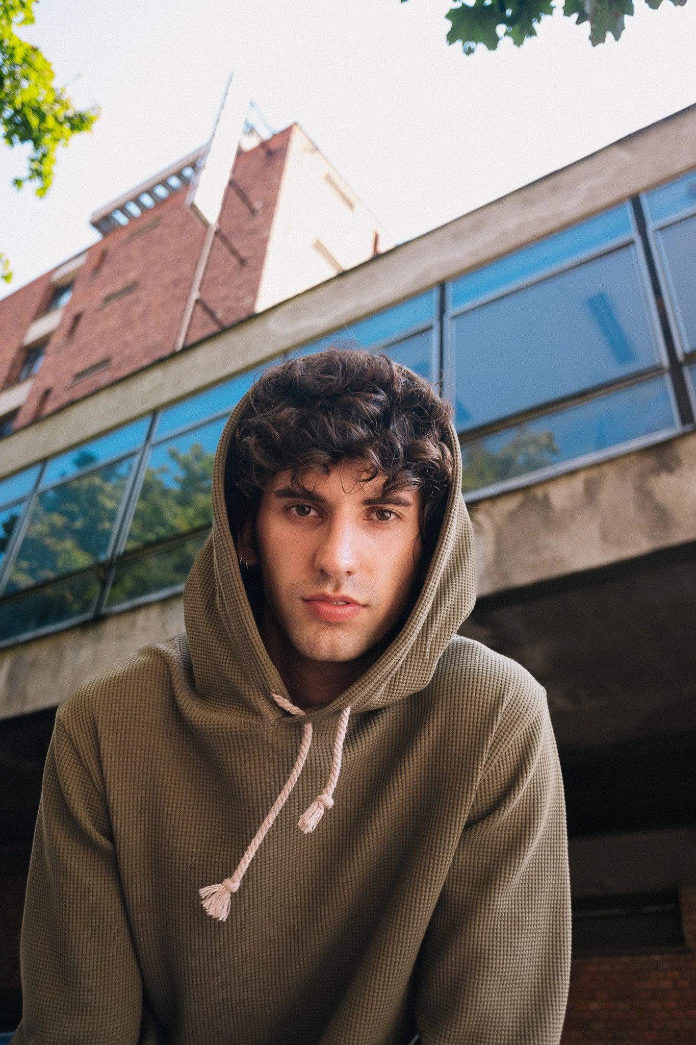 Timeless Wear product chambray casualness HIVE HOODIE / OLIVE