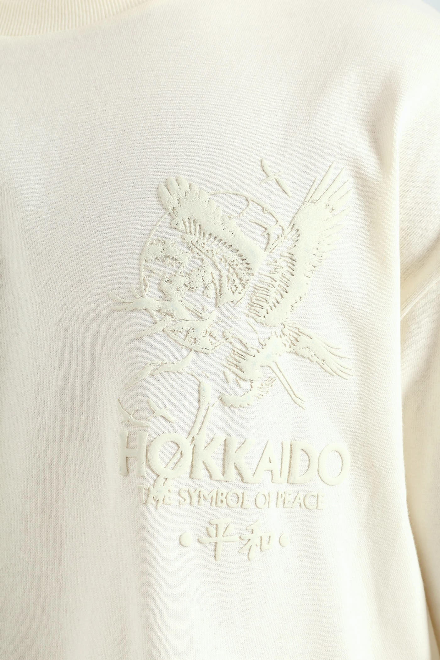 Non-toxic Comfortable and stylish Oversized Tonal Eagle Front & Back Print Tee - Ecru