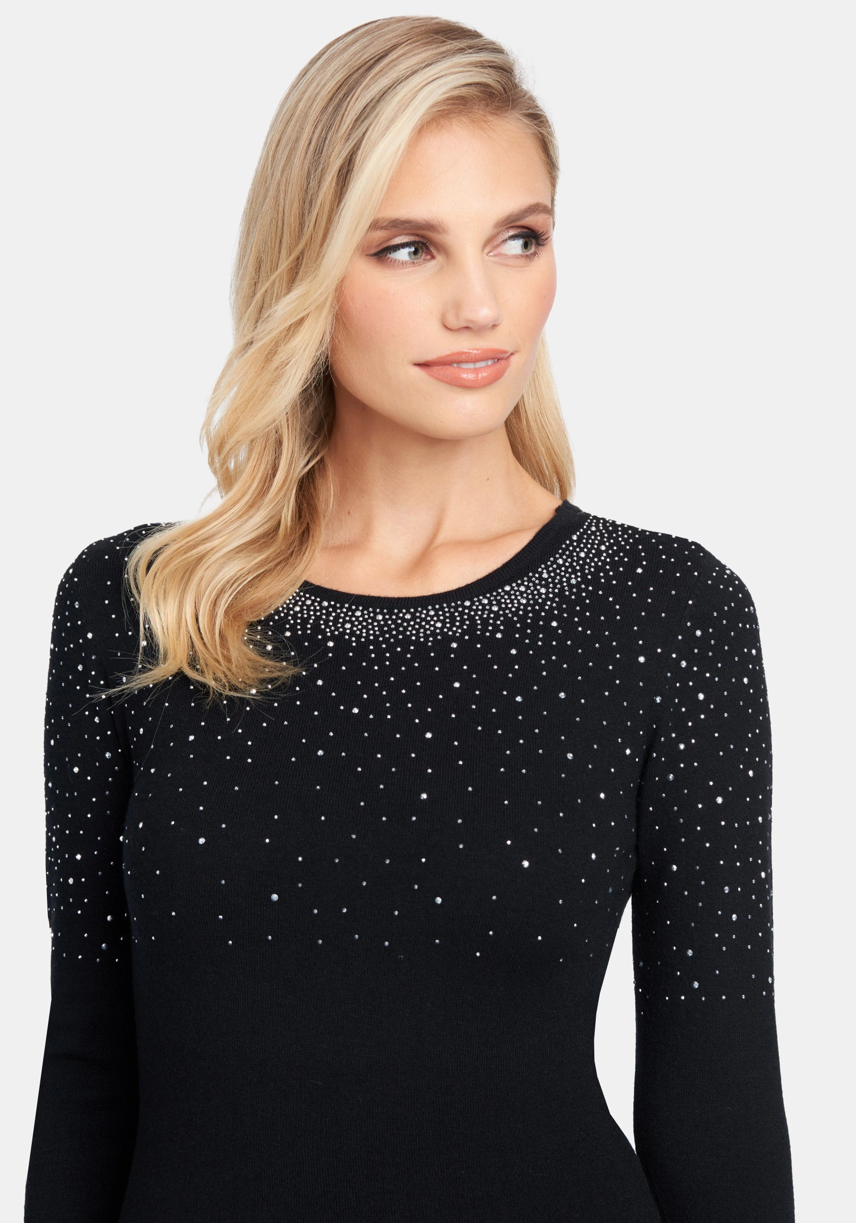 Collared Crew Neck Sweater Dress