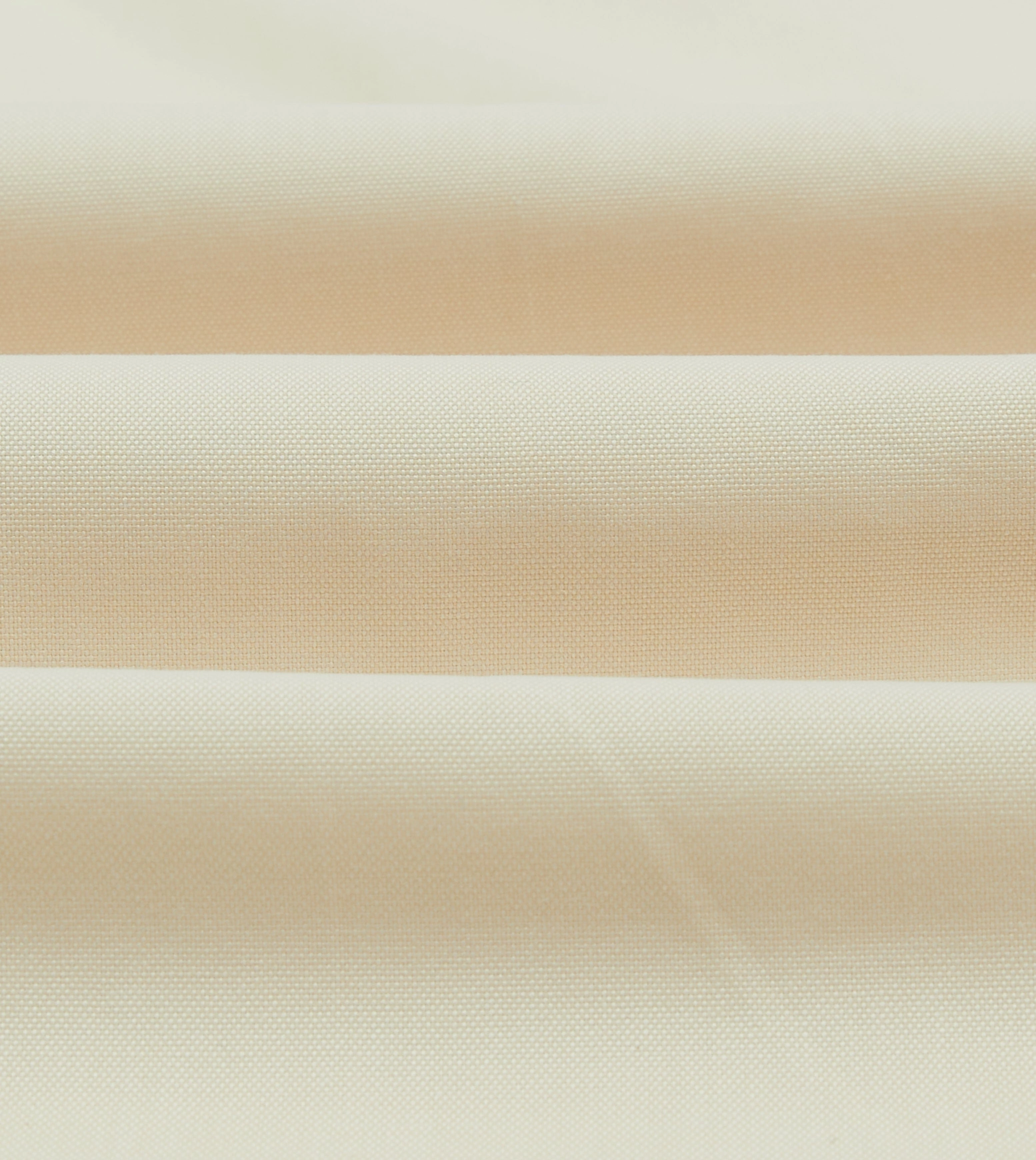 Waffle Weave Ecru Pinpoint Oxford Cotton Cloth Button-Down Shirt