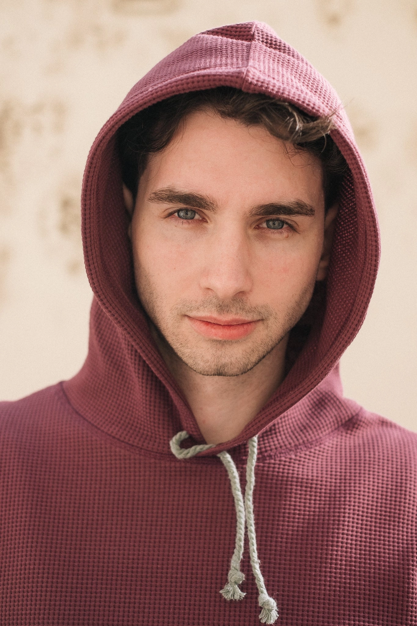 HIVE HOODIE / PLUM Modern Style Daily Wear