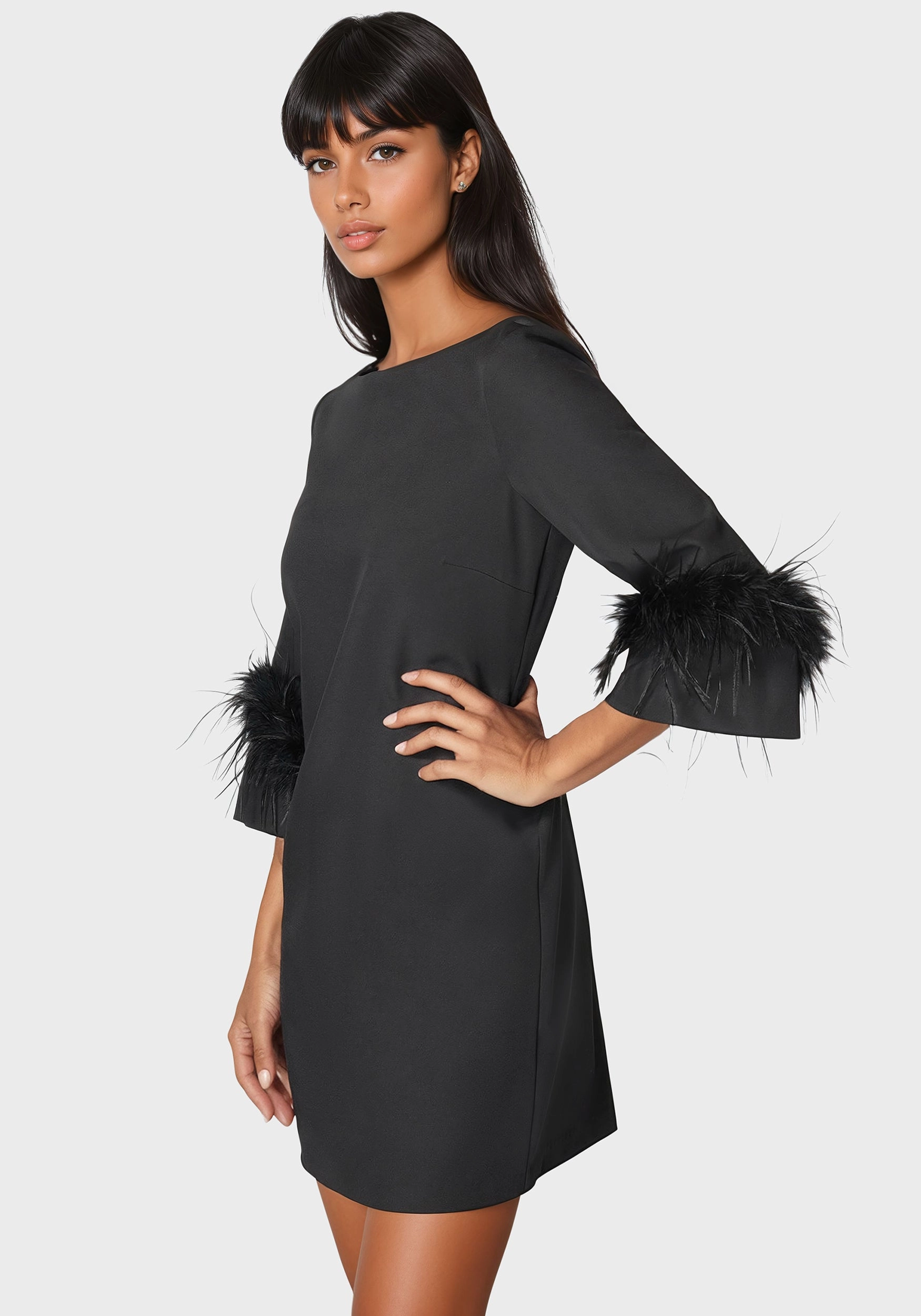 Feather Sleeve Mini Dress single wear
