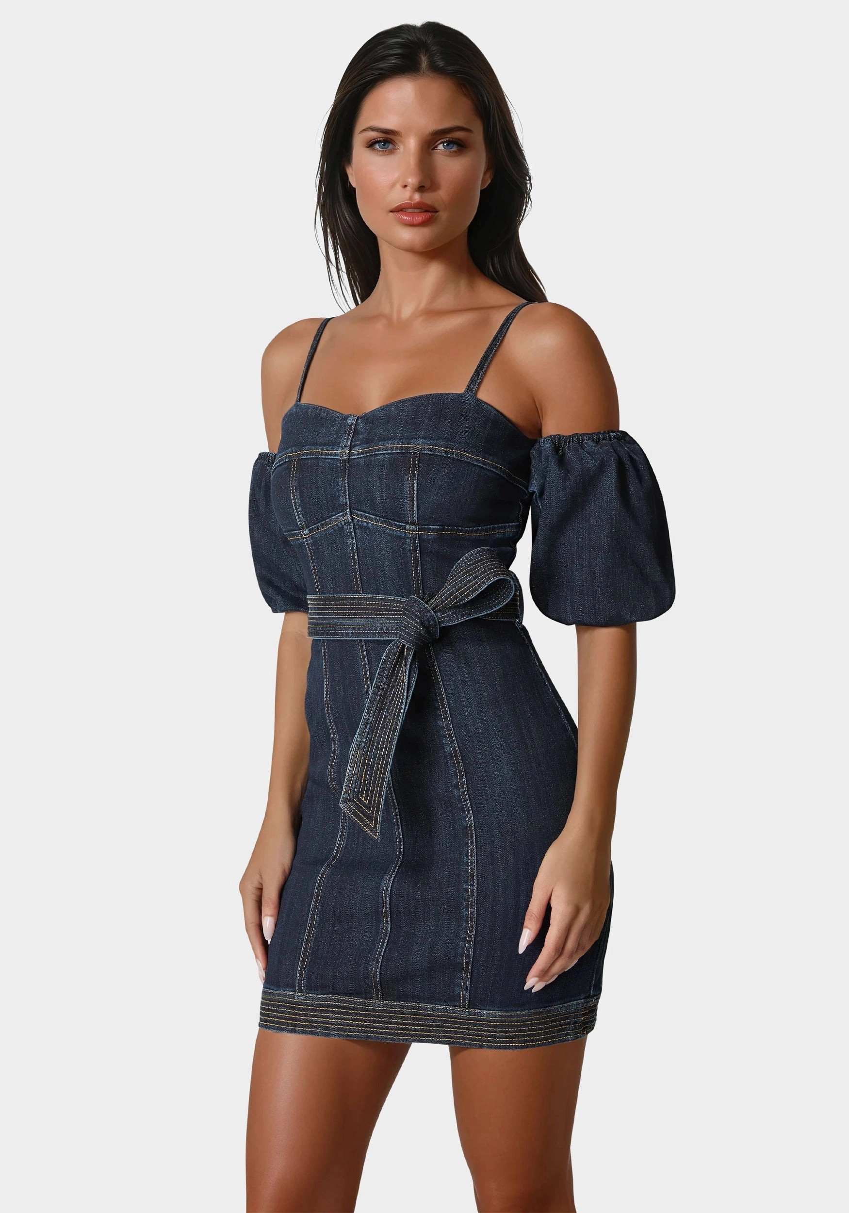 Calm Shine Fitted Denim Dress
