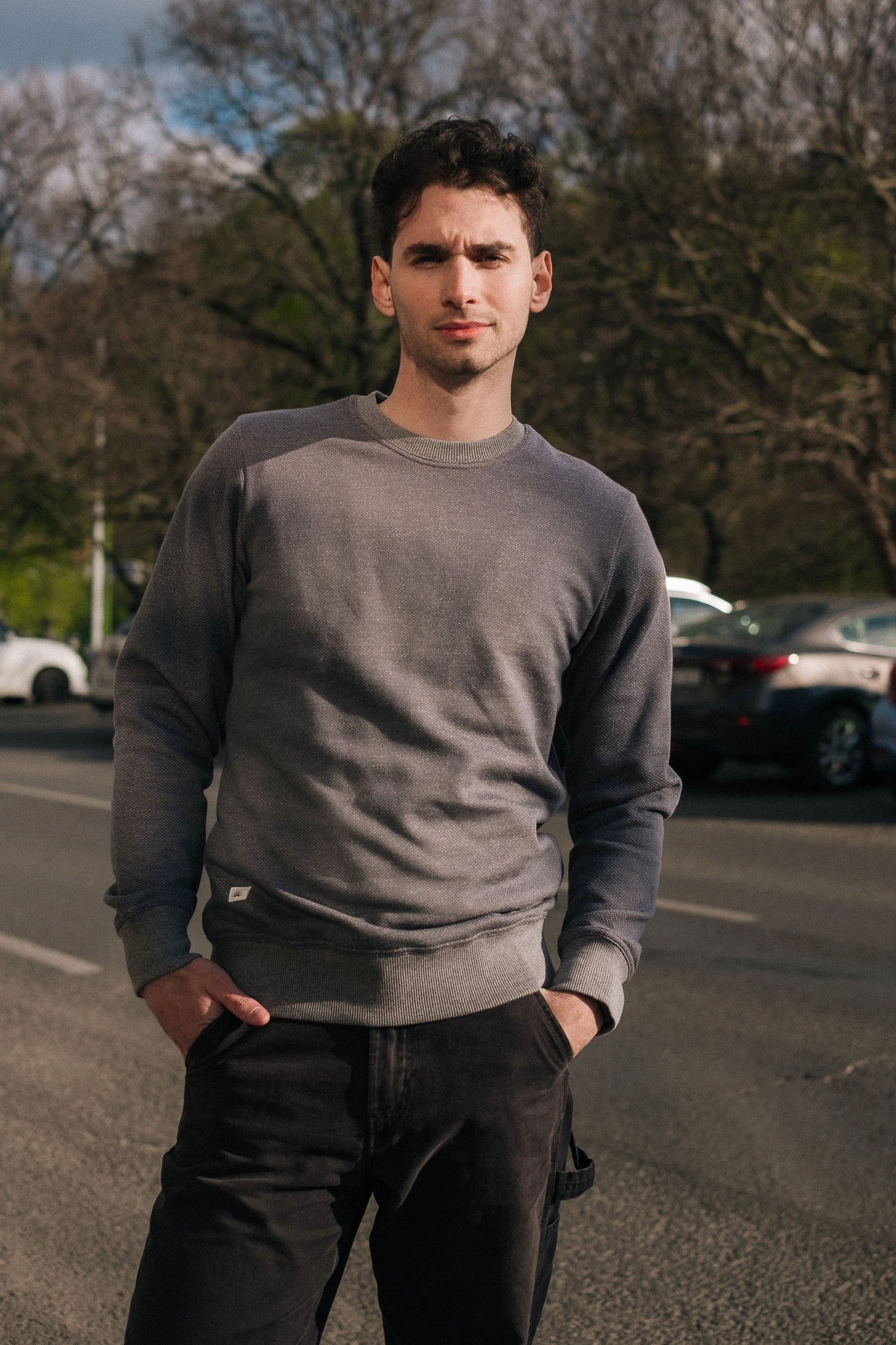 Logo Emblem BICOLOR CREWNECK / ASH