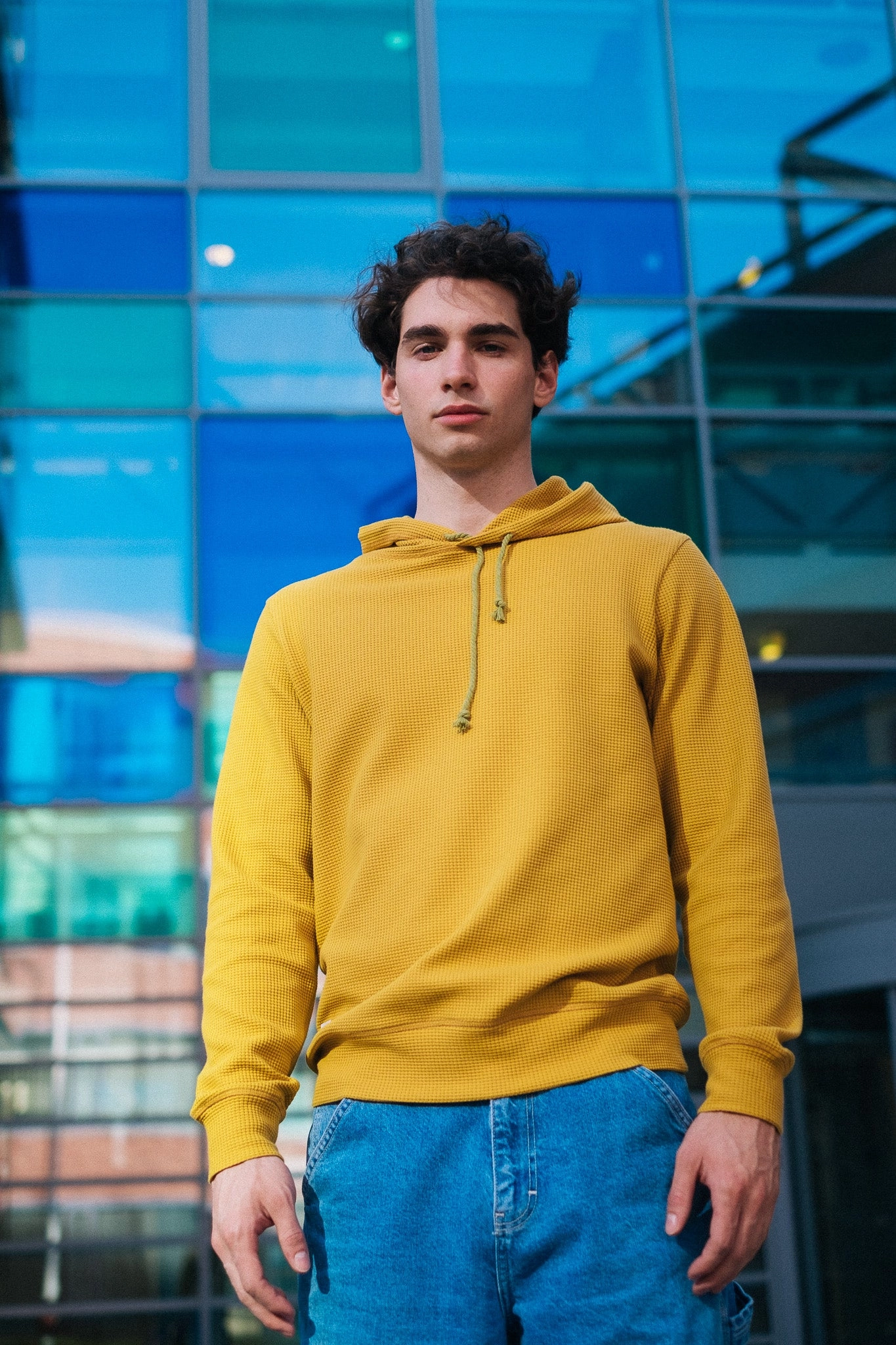 HIVE HOODIE / MUSTARD Chill Clothing