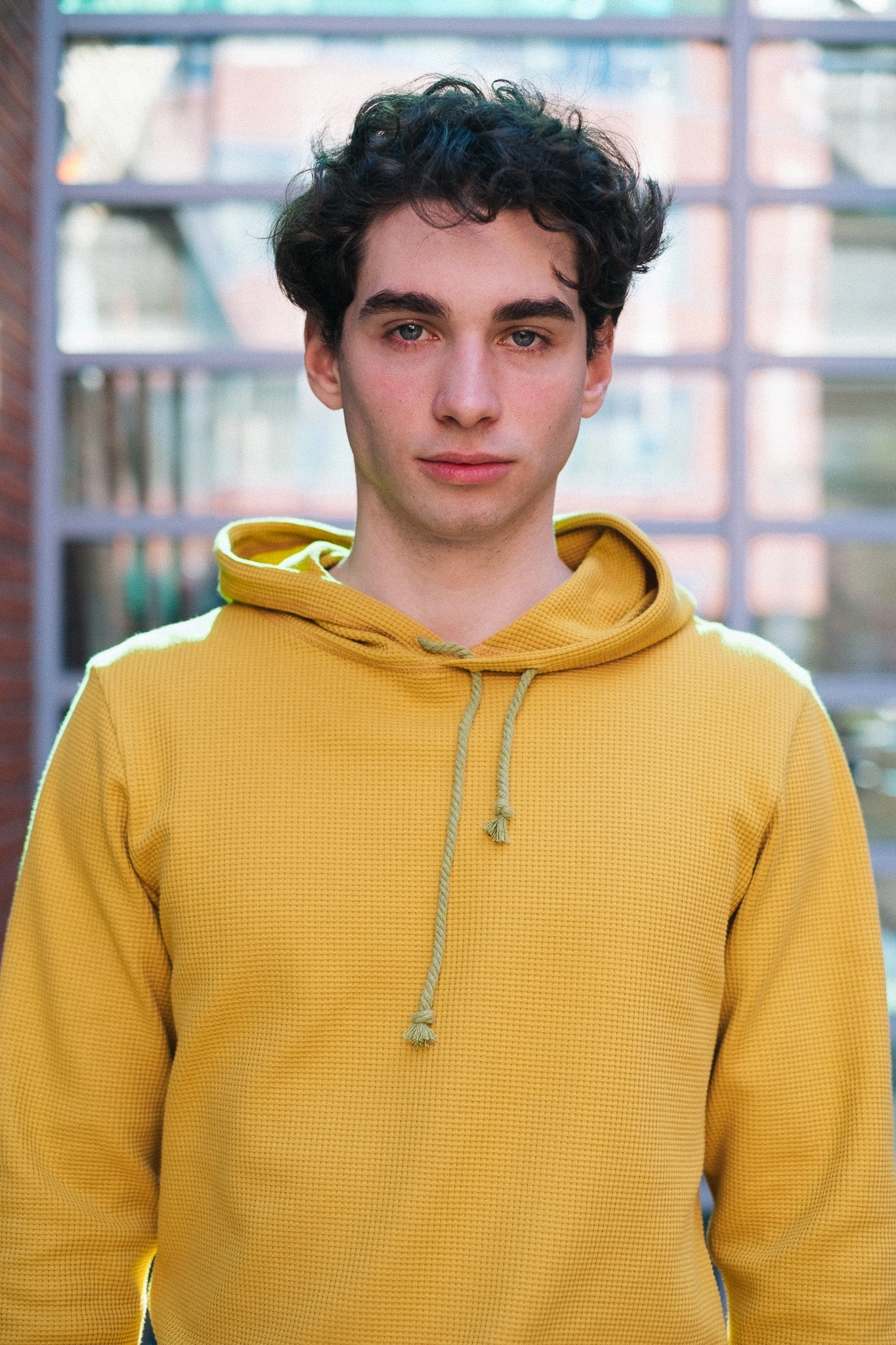 HIVE HOODIE / MUSTARD Cozy Streetwear
