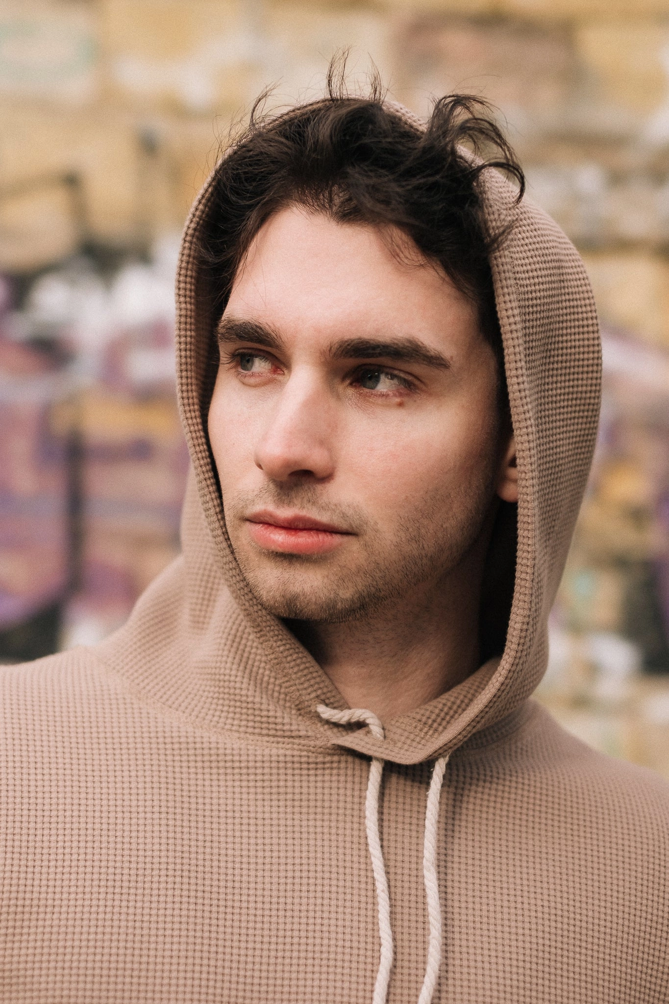 HIVE HOODIE / TAUPE Fashion Wearable