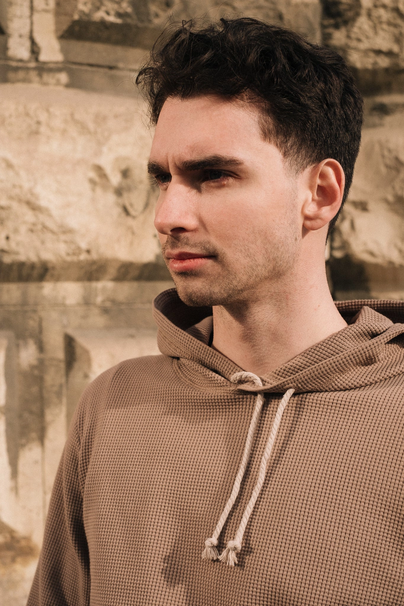 Cuffed Sleeves HIVE HOODIE / TAUPE