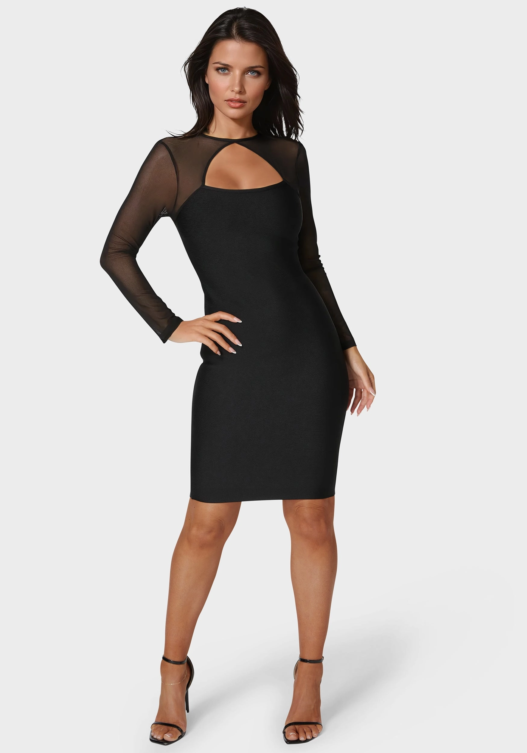 Longsleeve Mesh Peek A Boo Bandage Dress Chic Look