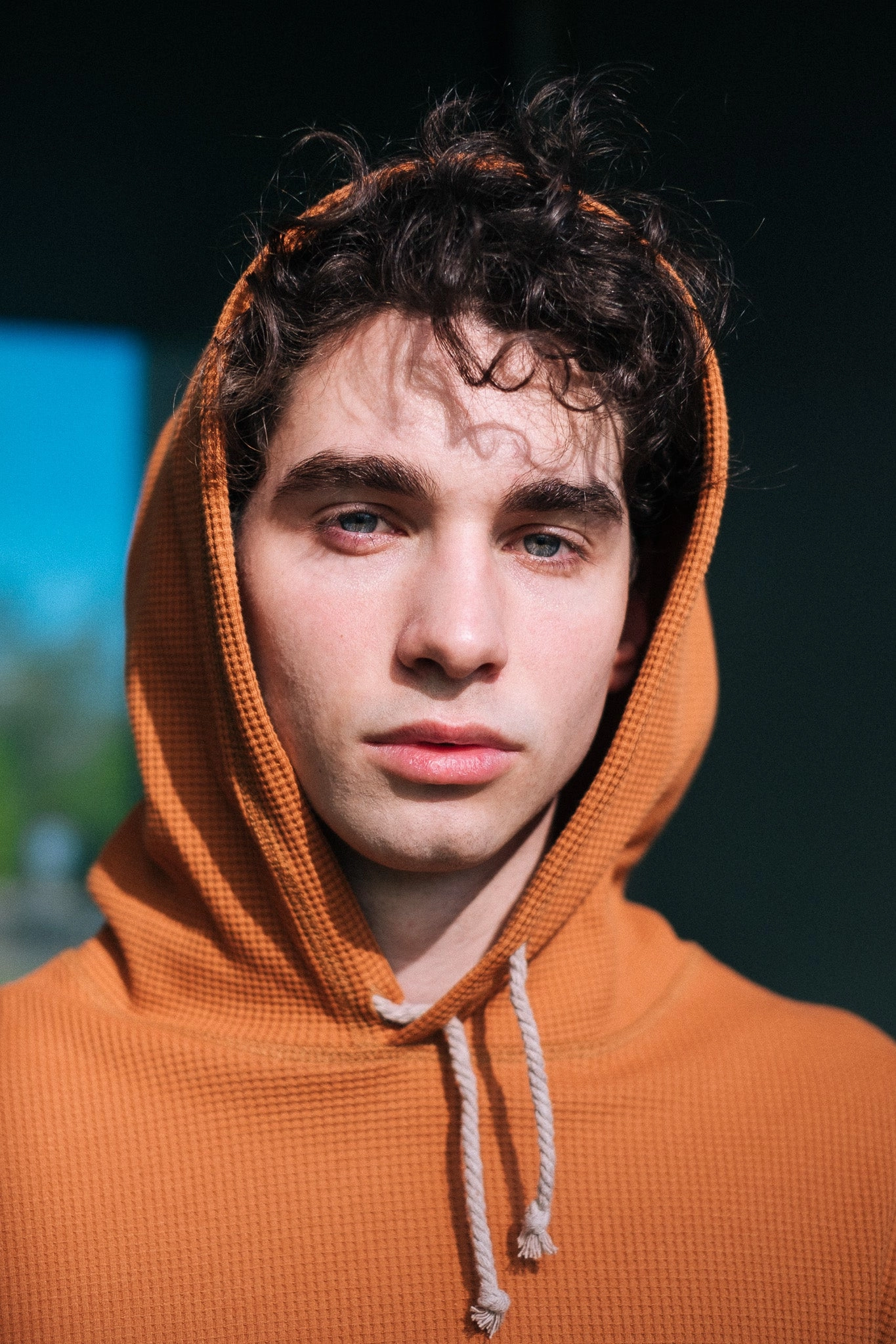 product innovation potential Urban Comfort HIVE HOODIE / BRICK