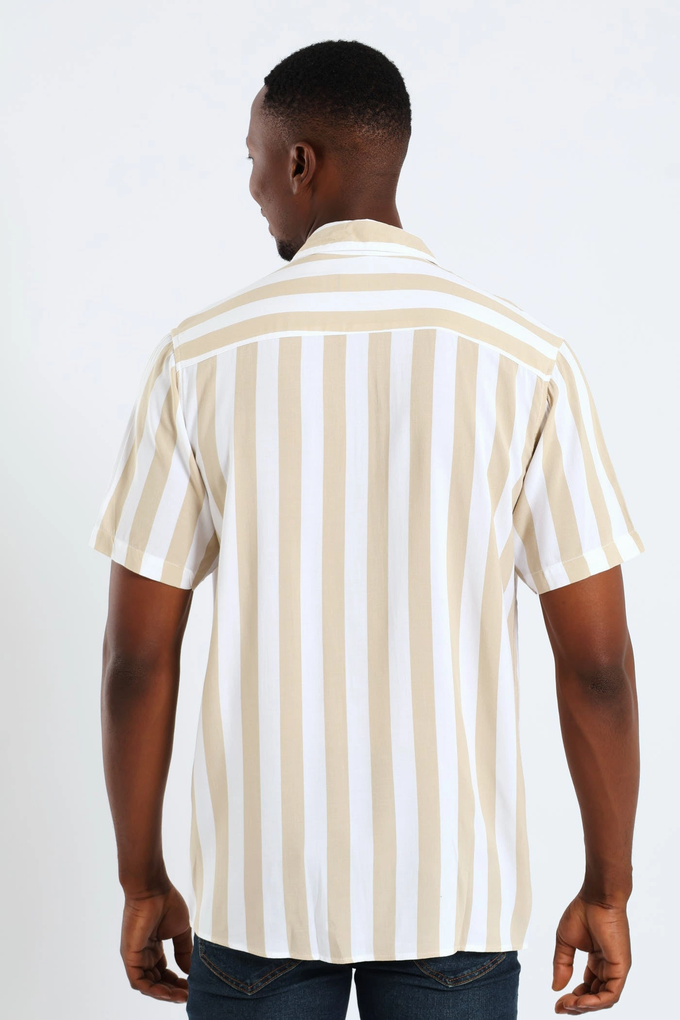 Short Sleeve Viscose Stripe Regular Shirt - Stone birthday celebration