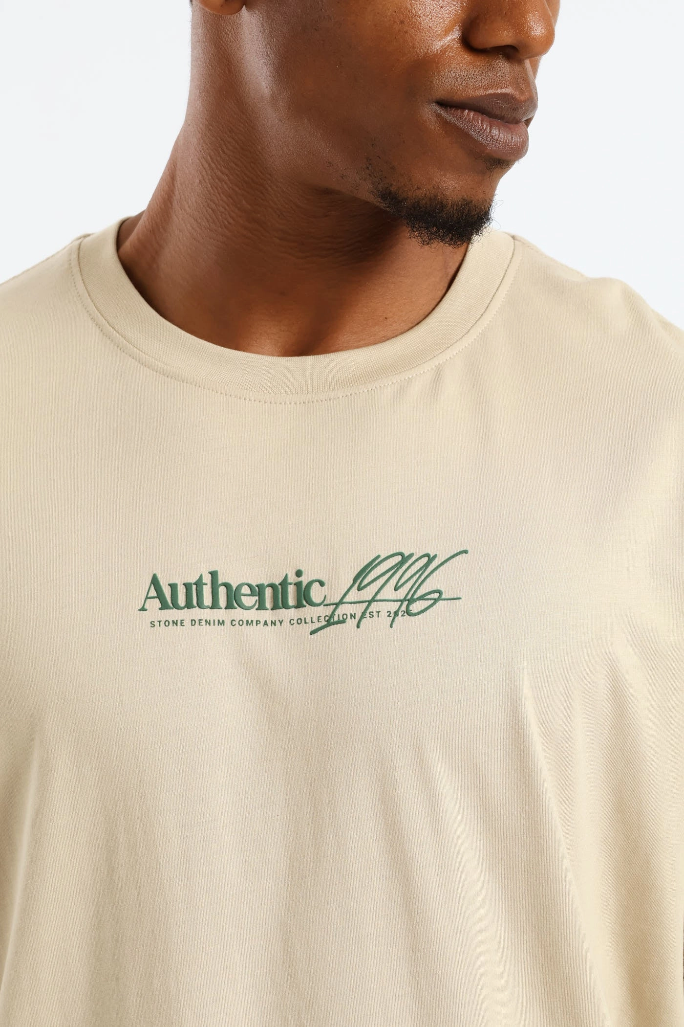 Photo Topographic Mt Front & Back Tee - Taupe Timeless Layering