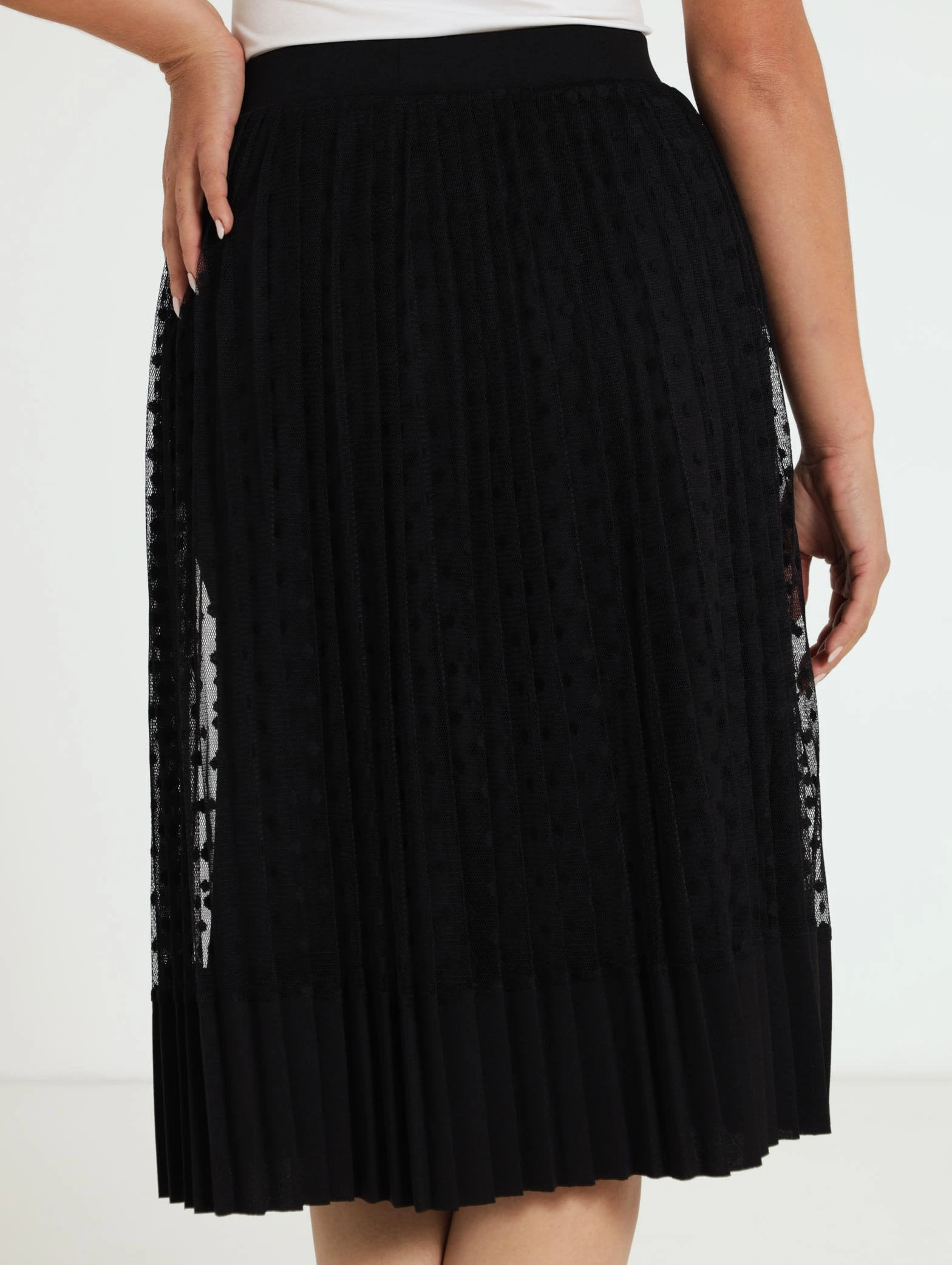 Neutral Tones Pleated Dobby Mesh Maxi Skirt - Black