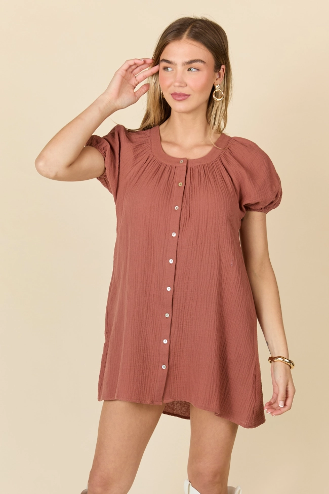 Open-back Sheer Layer Life Of The Party Brown Gauze Short Sleeve Mini Dress SALE