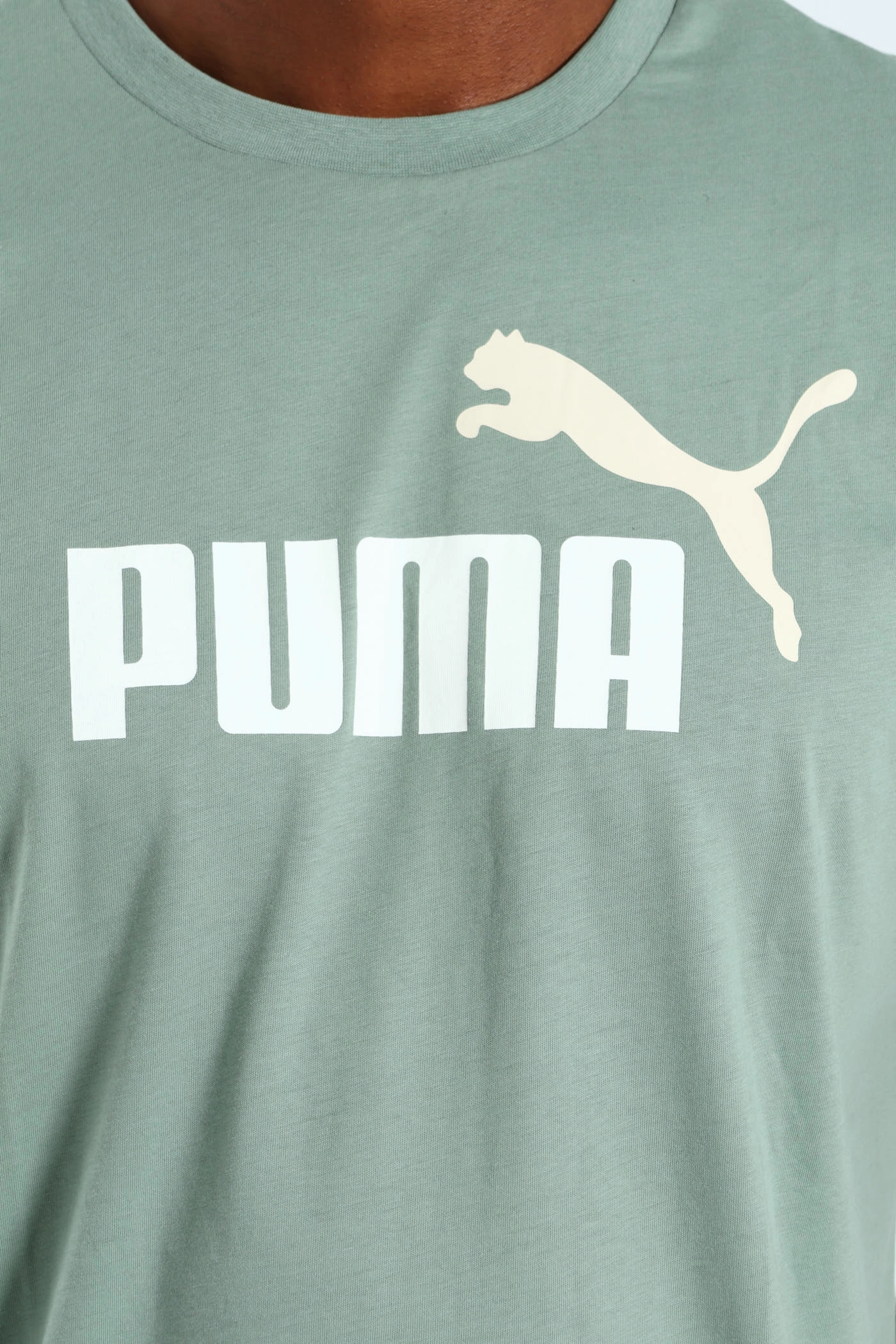 Two Color No. 1 Logo Tee - Sage Cozy Look Wear Easy-to-Style Top